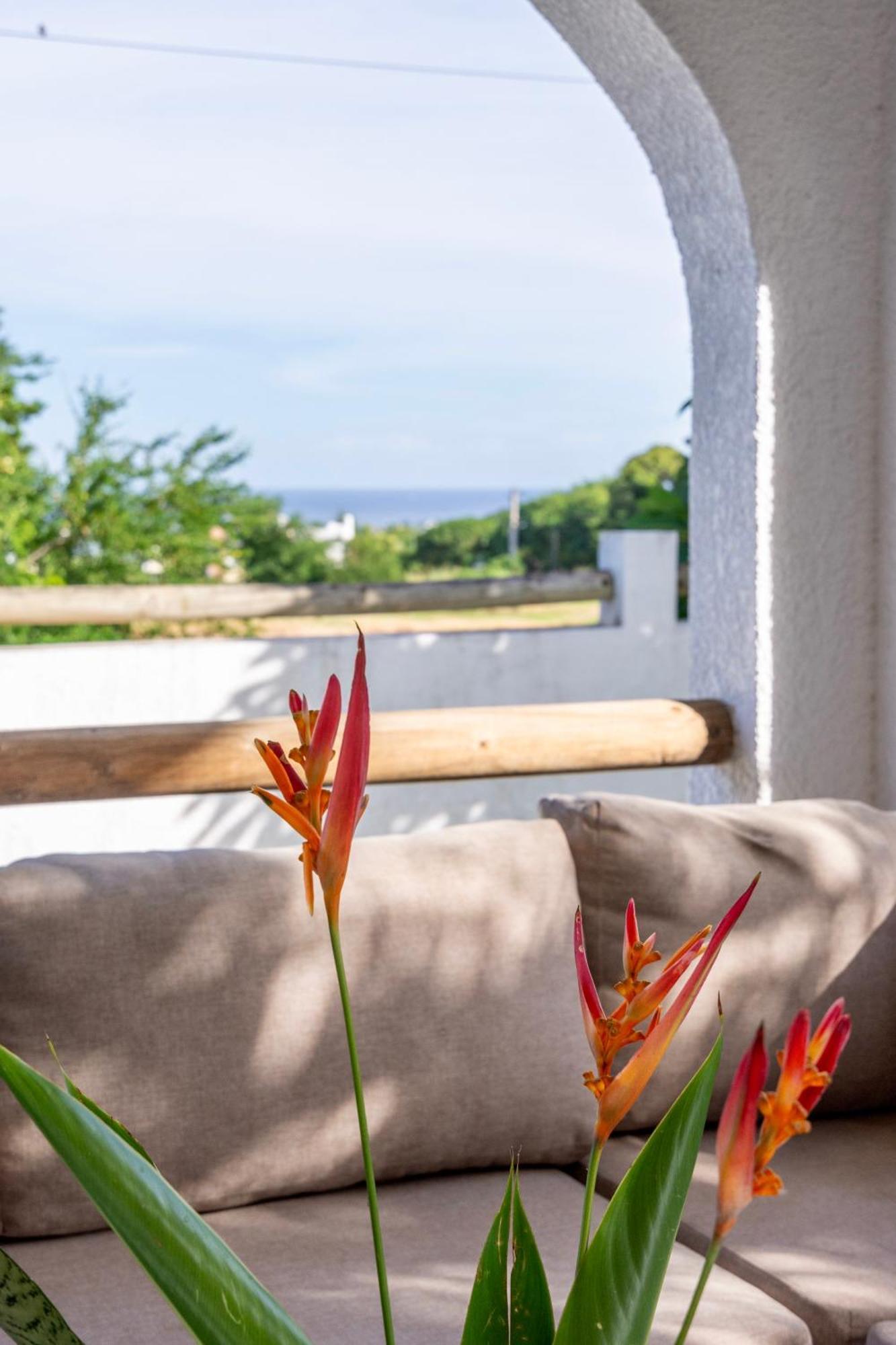 Sea La Vie - Holiday Home Albion Kültér fotó
